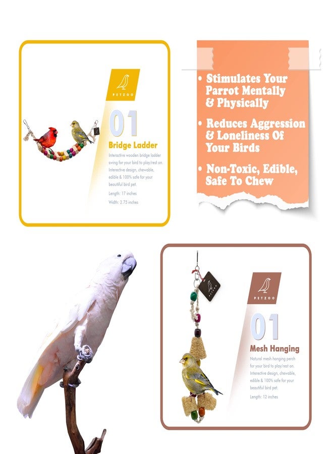 PETZOO Bundle of 10 Birds Toys Paper Shredded Foraging Chew, Swing, Mesh Toys, Perch, Spiral Hanging - Image 5